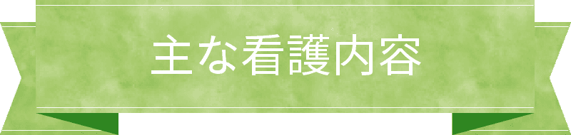 主な看護内容
